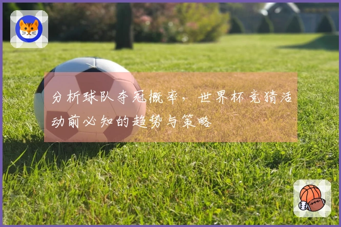 分析球队夺冠概率，世界杯竞猜活动前必知的趋势与策略