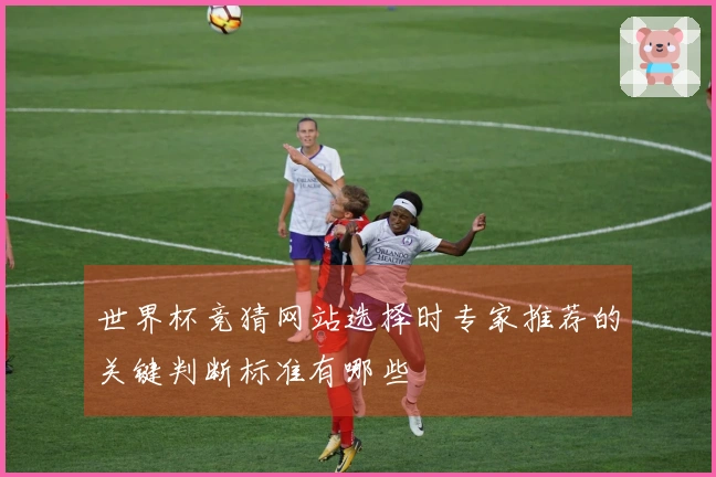 世界杯竞猜网站选择时专家推荐的关键判断标准有哪些