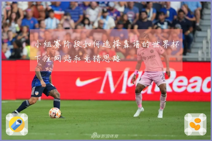 小组赛阶段如何选择靠谱的世界杯下注网站和竞猜思路
